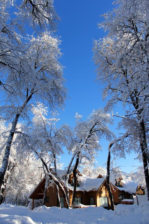 Complejo Turistico Los Hualles Las Trancas Dış mekan fotoğraf